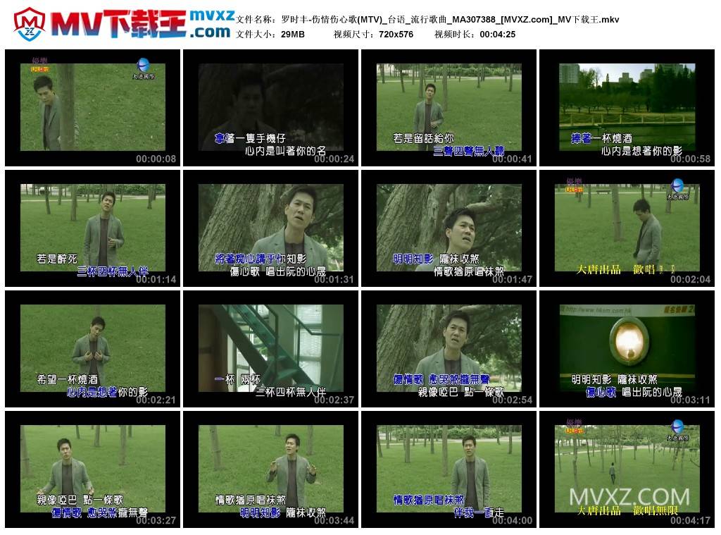 罗时丰-伤情伤心歌(MTV)_台语_流行歌曲_MA307388
